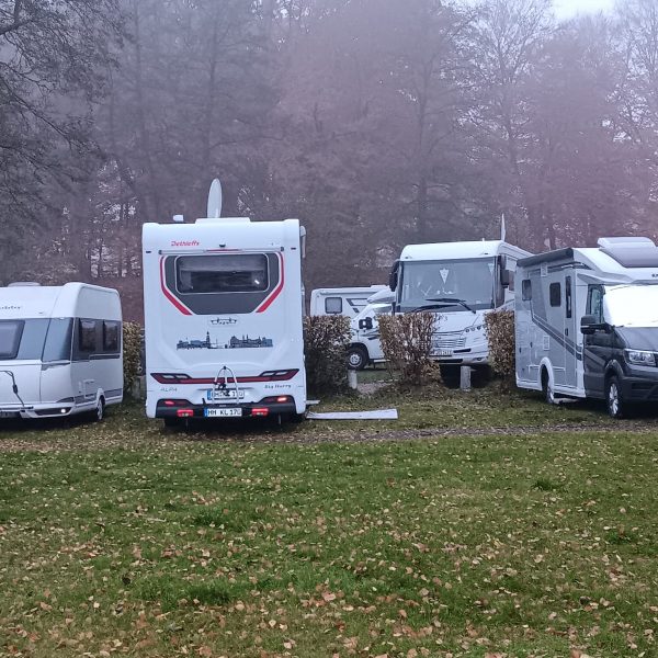 20251107_1502 Roswitha