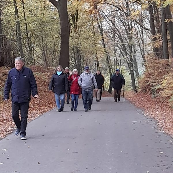 20251108_1100 Manfred