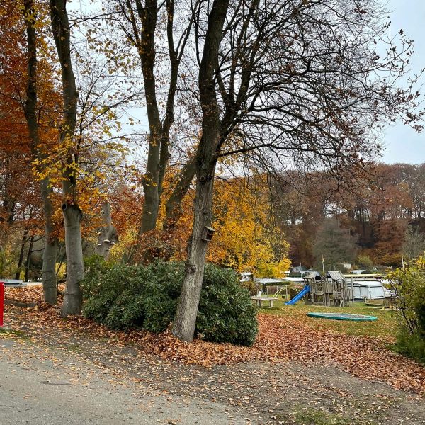 20251108_1400 Christa